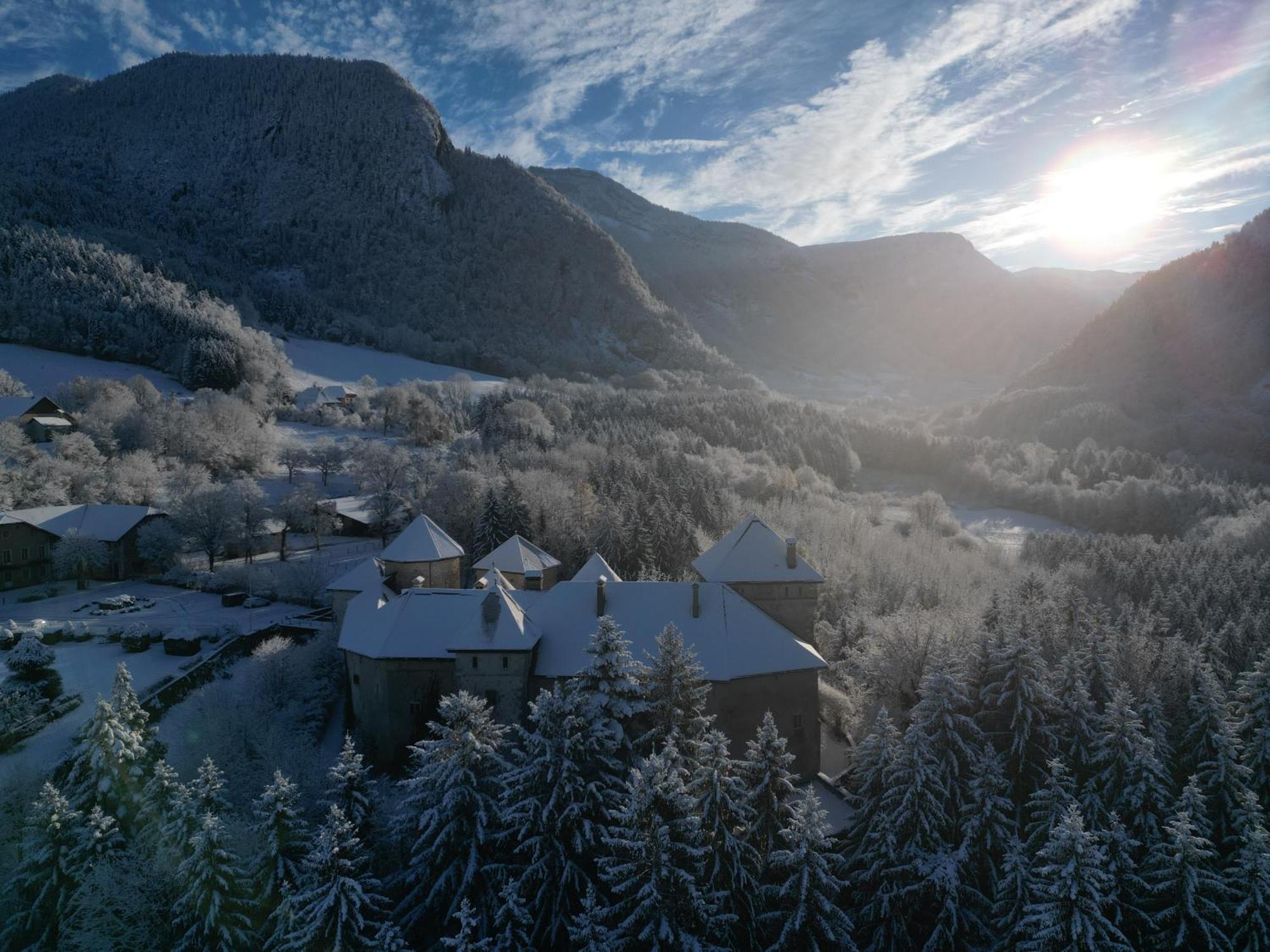 Chateau De Thorens Экстерьер фото