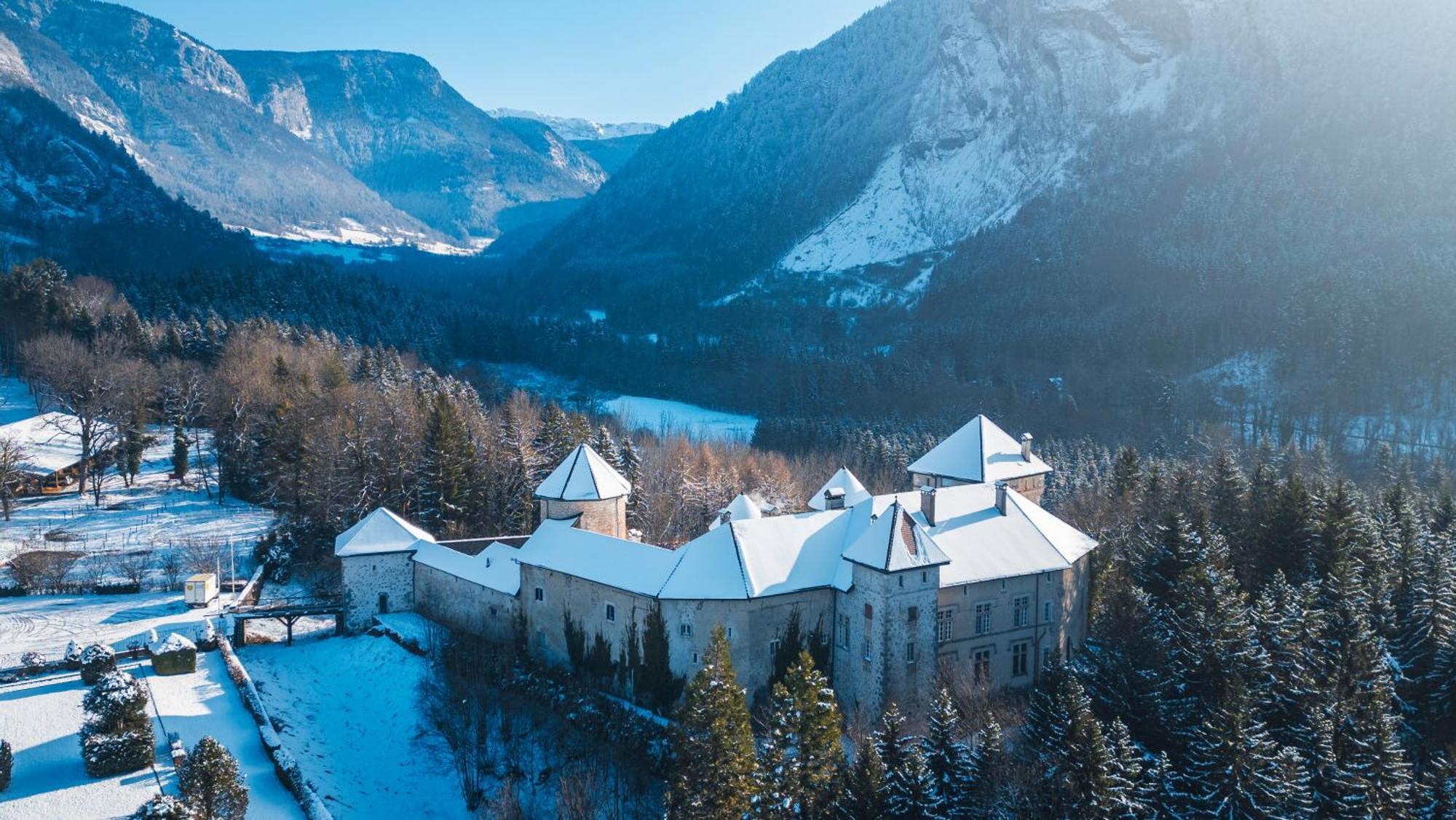 Chateau De Thorens Экстерьер фото